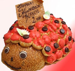 Coccinelle